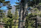 MUDDY OUTDOORS Huntsman Deluxe / 1 Man / 17′ Tall / 300LB Weight Rating